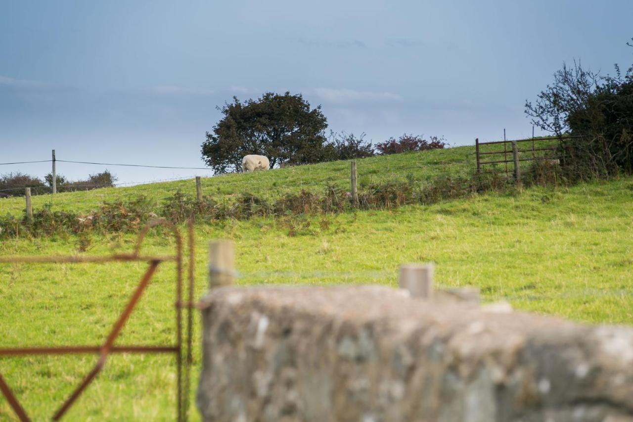 Villa Tyn Lon Moelfre Esterno foto