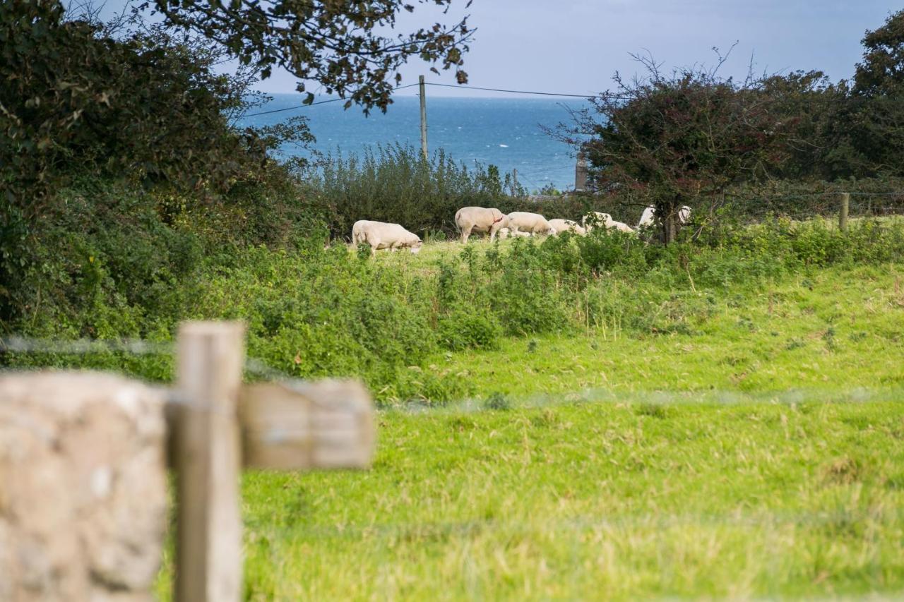 Villa Tyn Lon Moelfre Esterno foto