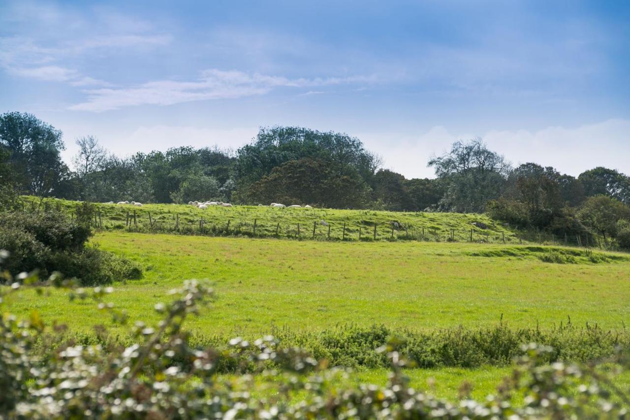 Villa Tyn Lon Moelfre Esterno foto